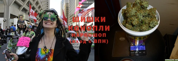 трава Алексин